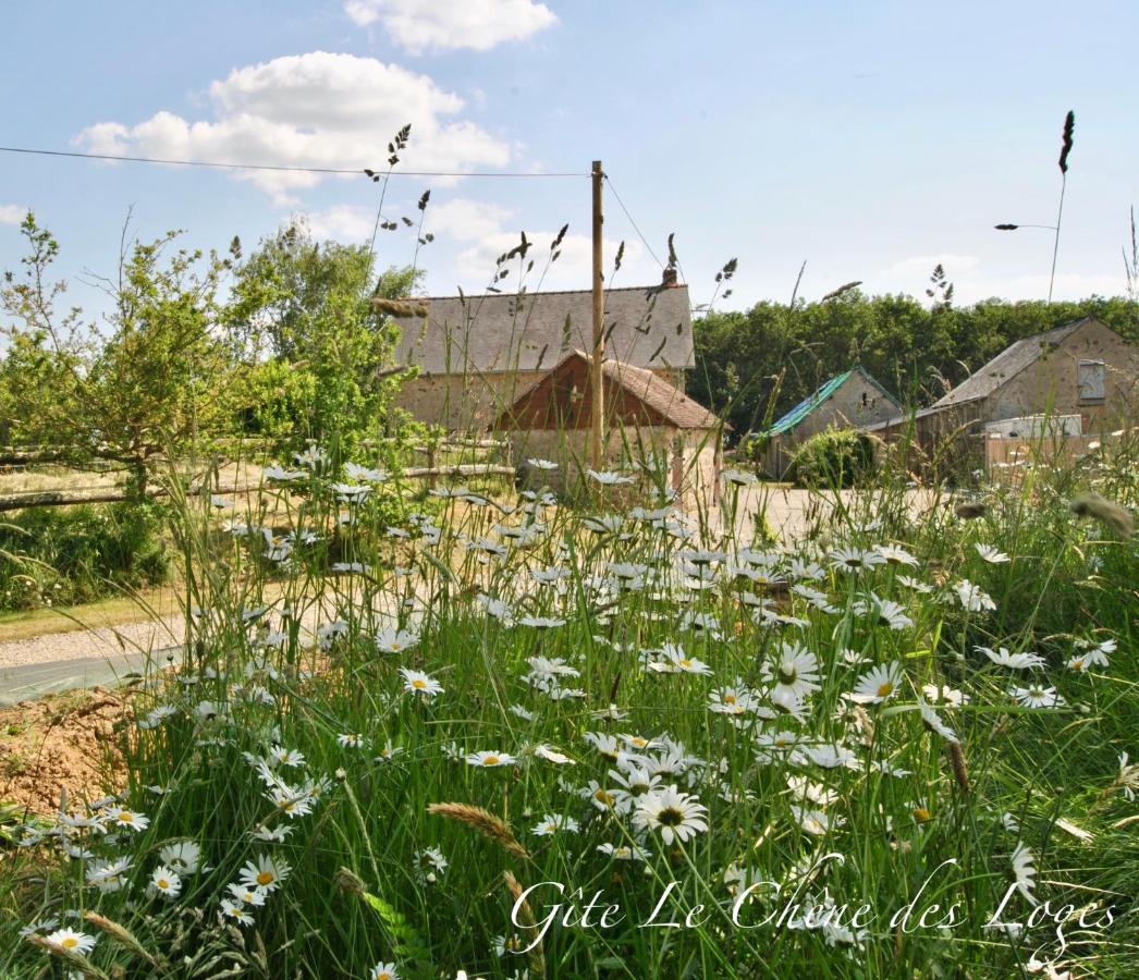 Gite Familial Pour 6 Pers En Campagne Bouere 外观 照片