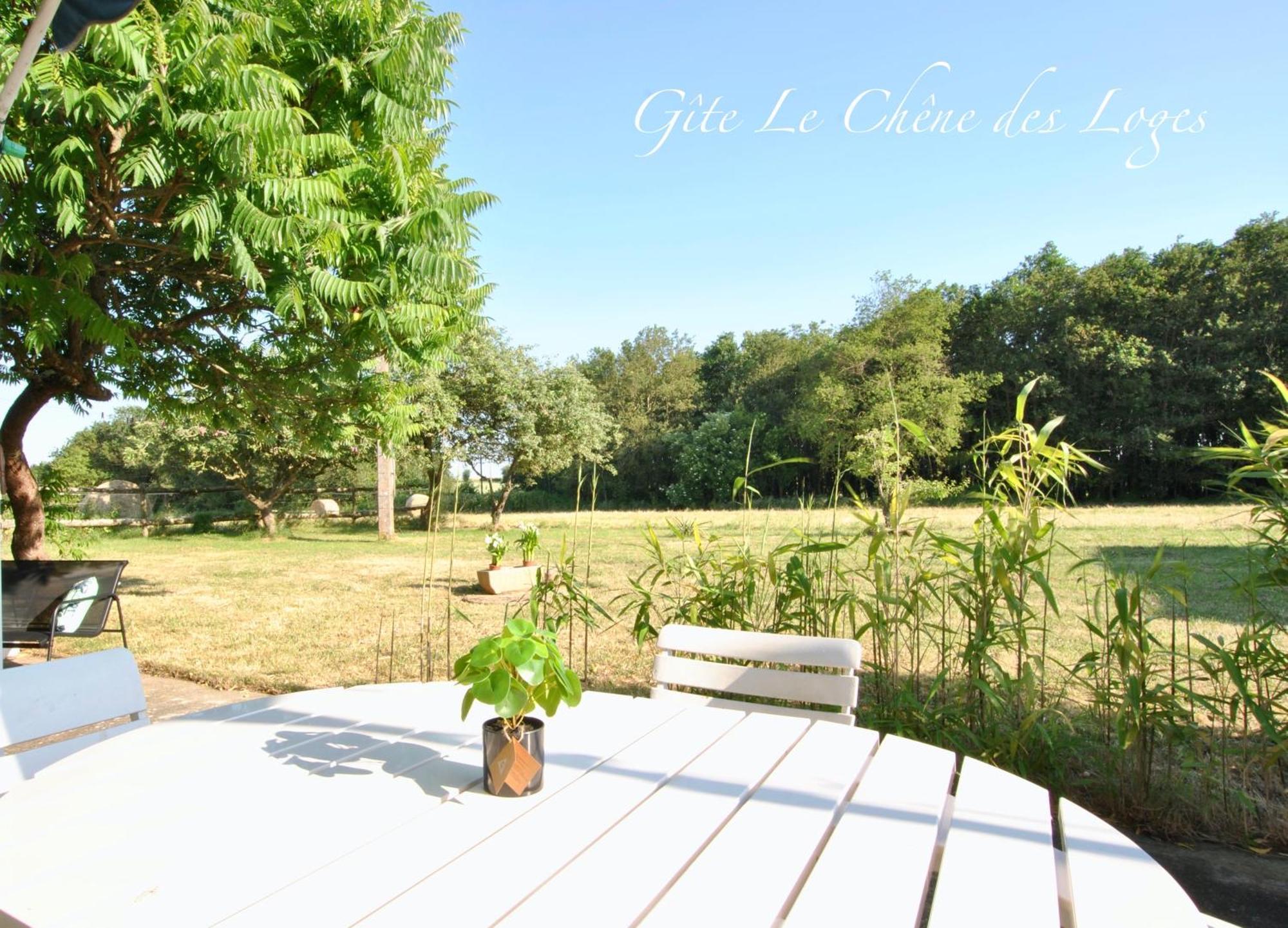Gite Familial Pour 6 Pers En Campagne Bouere 外观 照片